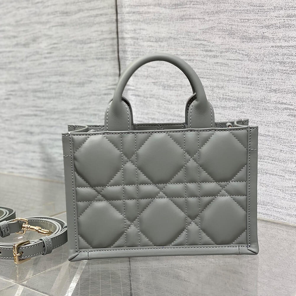 Mini Dior Book Tote