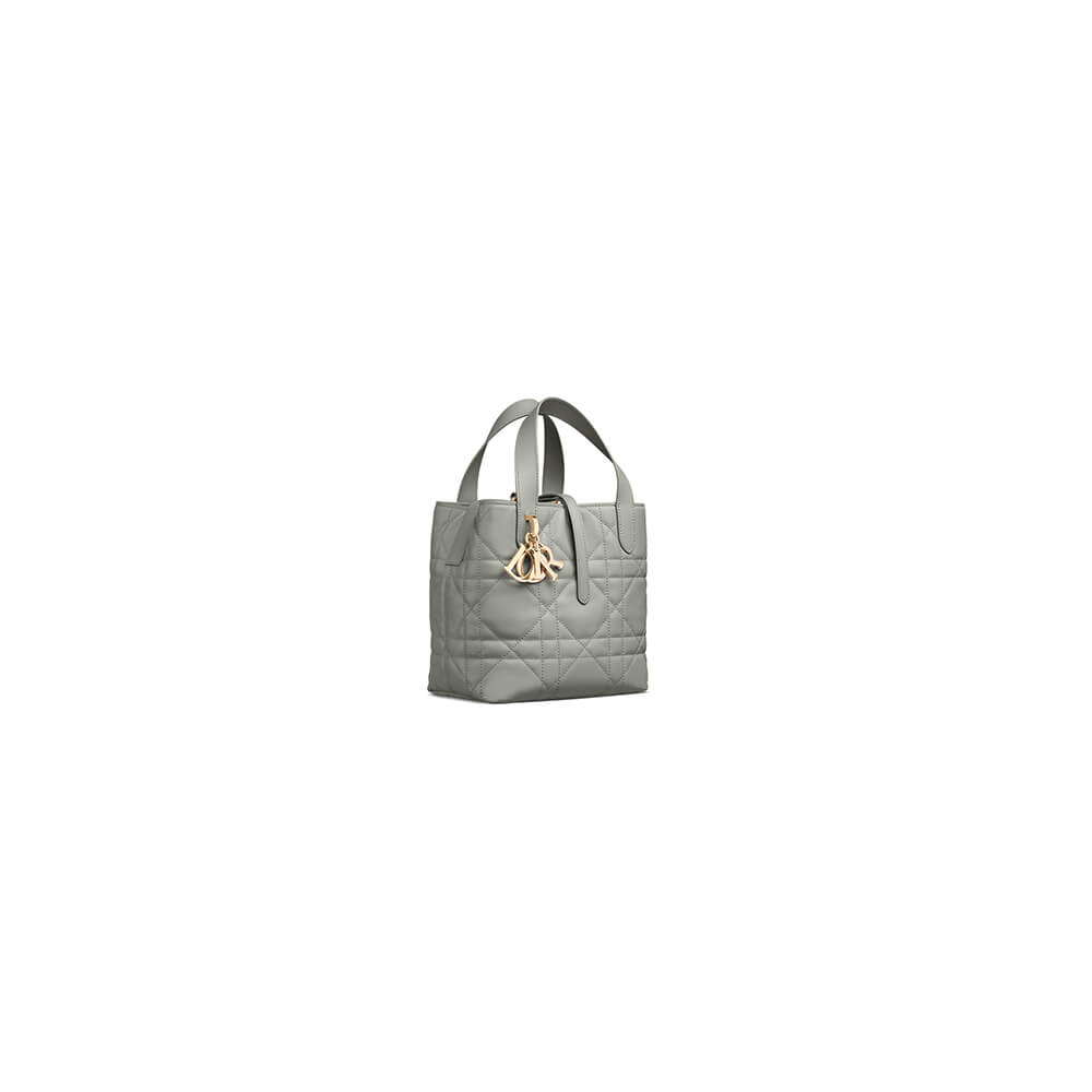 Small Dior Toujours Vertical Tote Bag(high-end grade)