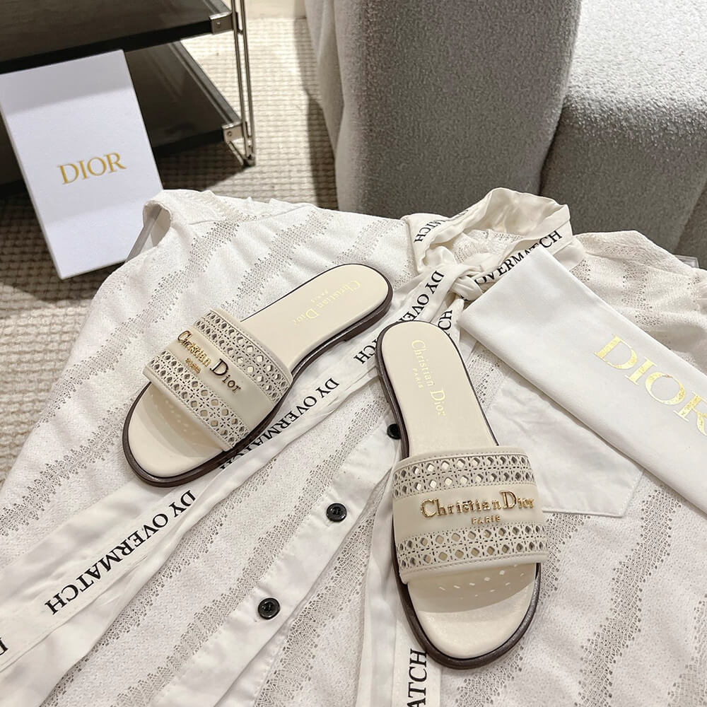 DIOR D-Lane Slide