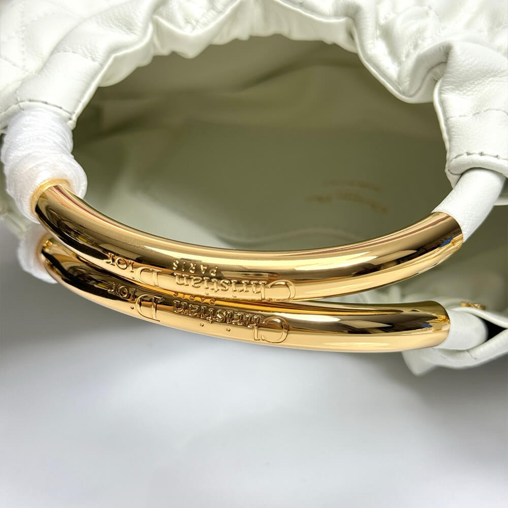 Dior Walk in Dior Purse